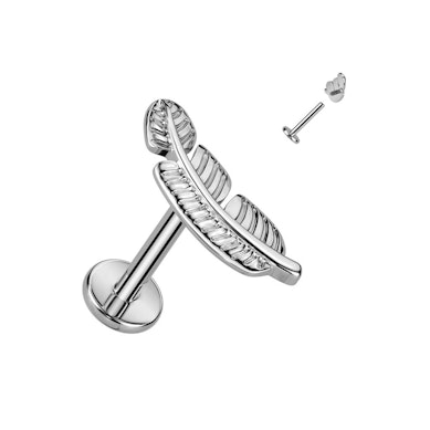 Titan-Labret mit einer detailreichen Feder