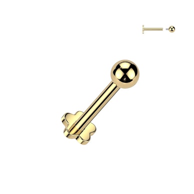 Titan Labret mit blumenförmiger flacher Rückseite