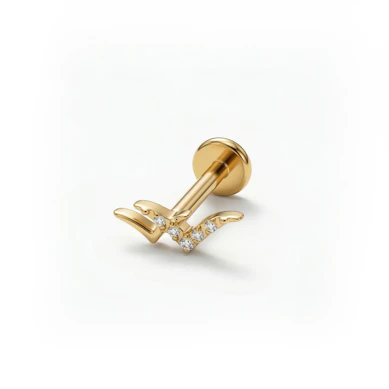 Labret aus Titan in Vogelform