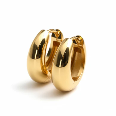 Paar glänzende breite Ohrringe mit Scharnier