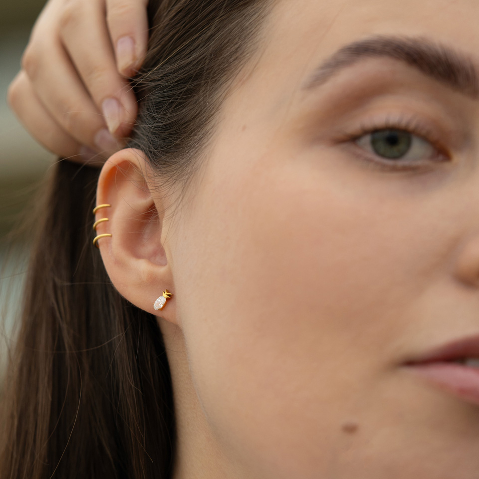 Titan-Labret mit Ananas