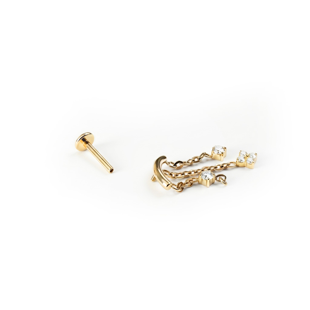 Verstecktes Helix-Labret mit Blume und Anhängern aus Titan