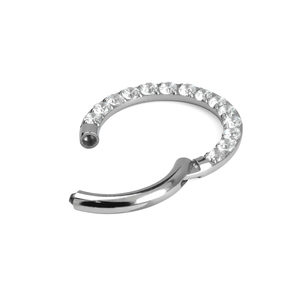 Scharnierring aus Titan mit Steinreihe