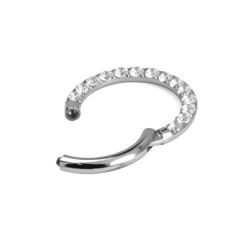 Scharnierring aus Titan mit Steinreihe